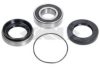 SPIDAN 27067 Wheel Bearing Kit